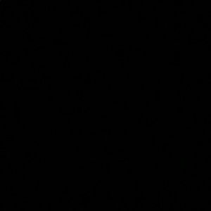 Meet your Posher, Sophia